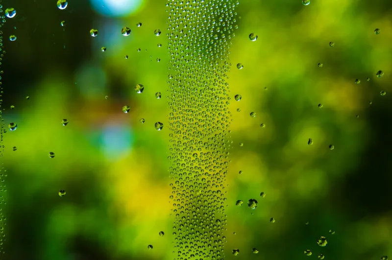 Can't Meditate in Silence? Use These 7 Everyday Sounds as Your Anchor Instead