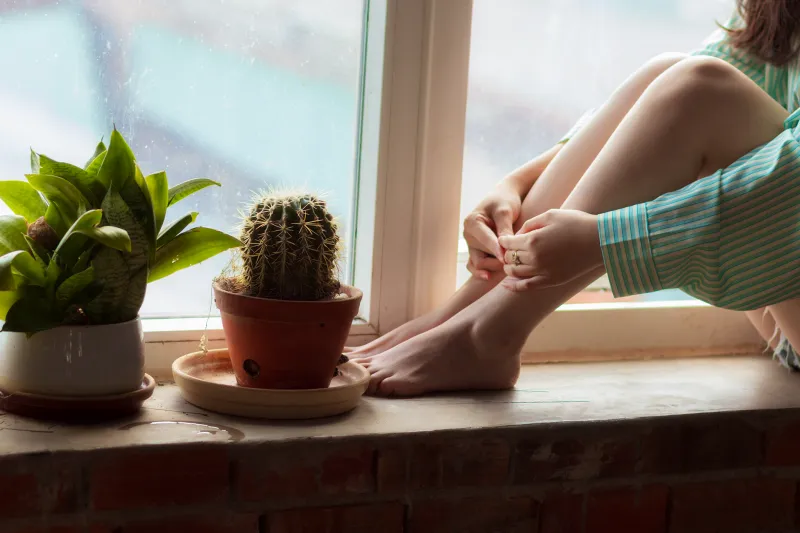Your Brain Is Begging for Quiet — Here's What Happens When You Finally Give It Some